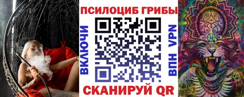 купить  цена  Берёзовка  Псилоцибиновые грибы мухоморы 